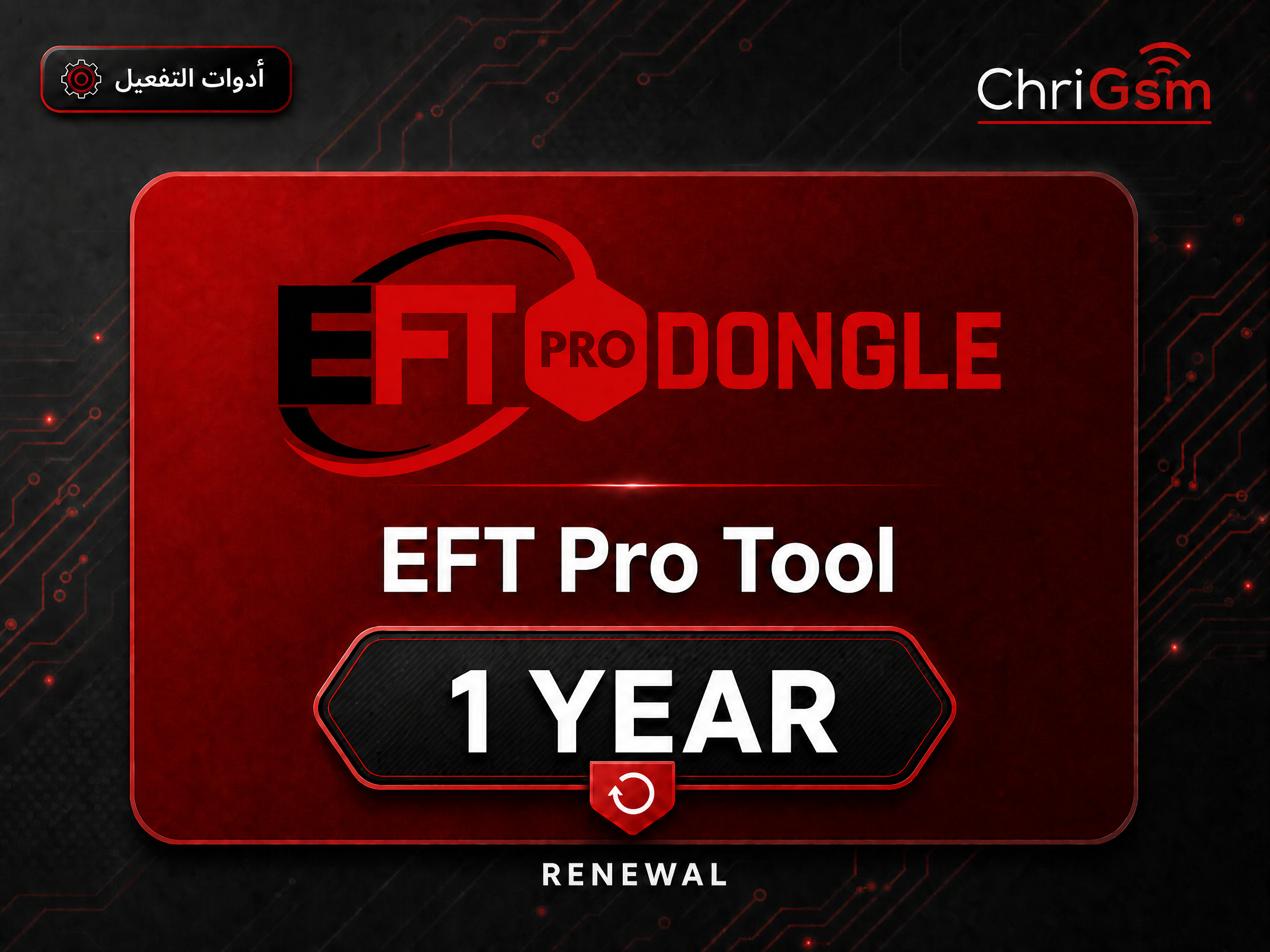 صورة EFT Pro Tool — تجديد سنة